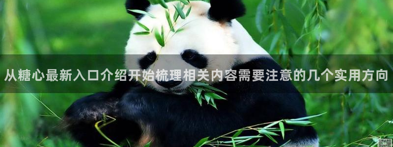 糖心vlog免费观看：从糖心最新入口介绍开始梳理相关内容需要注意的几个实用方向