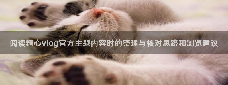 糖心vlog观看