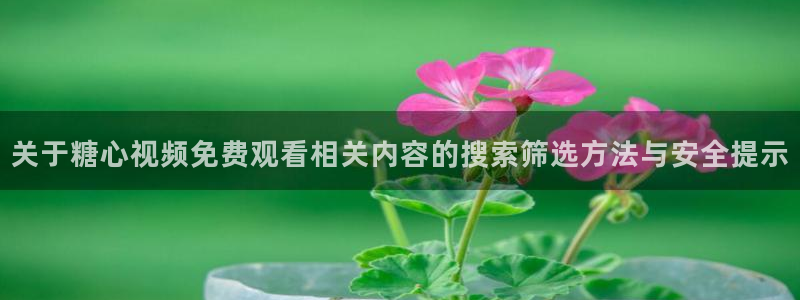 糖心视频在线观看免费