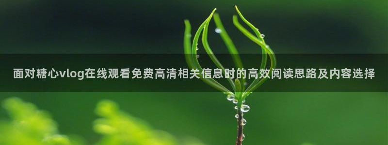 糖心下载链接:面对糖心vlog在线观看免费高清相关信息时的高效阅读思路及内容选择